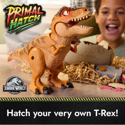 Interactive Hatching Dinosaur Egg