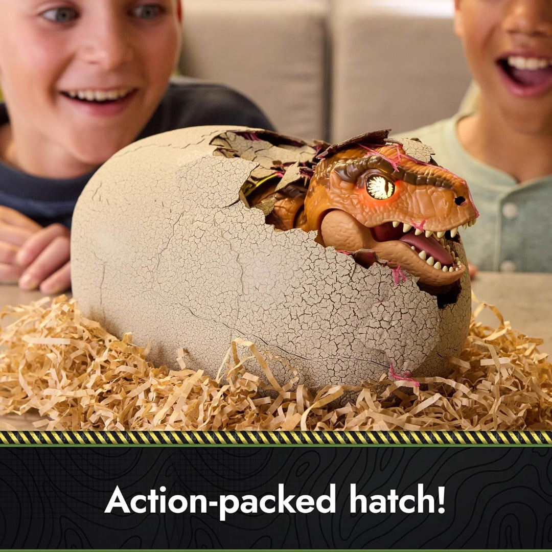 Interactive Hatching Dinosaur Egg