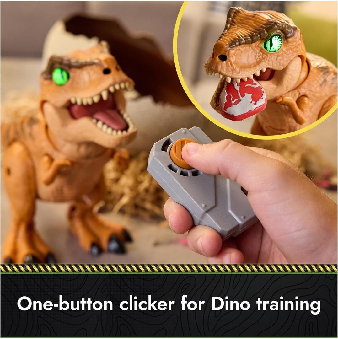 Interactive Hatching Dinosaur Egg