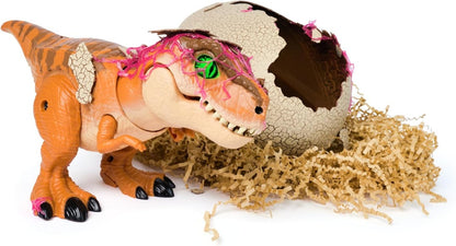 Interactive Hatching Dinosaur Egg